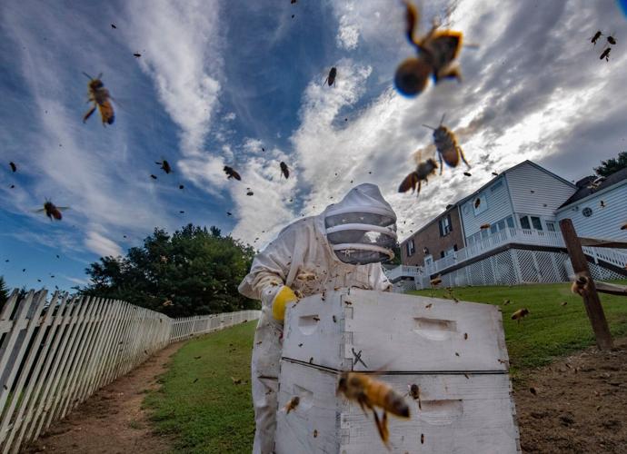dp_backyard beekeeper_083020p01 (copy)