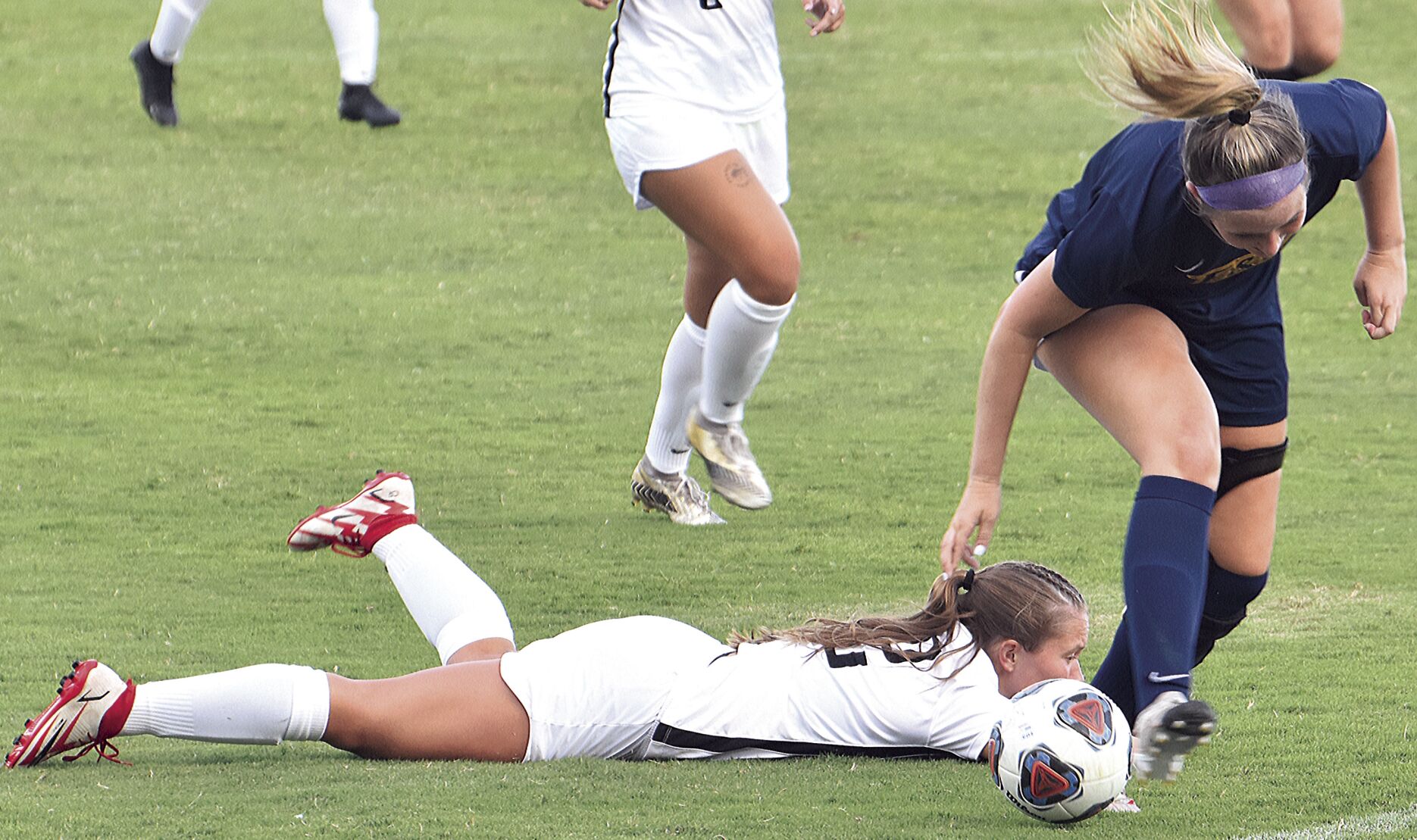 Panthers down Knights as the rains fall