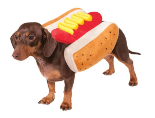 Hot Diggity Dog Halloween Costume