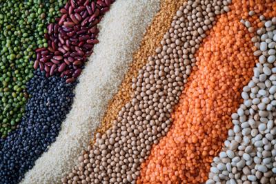 FOOD-MEATLESS-RECIPES-DMT