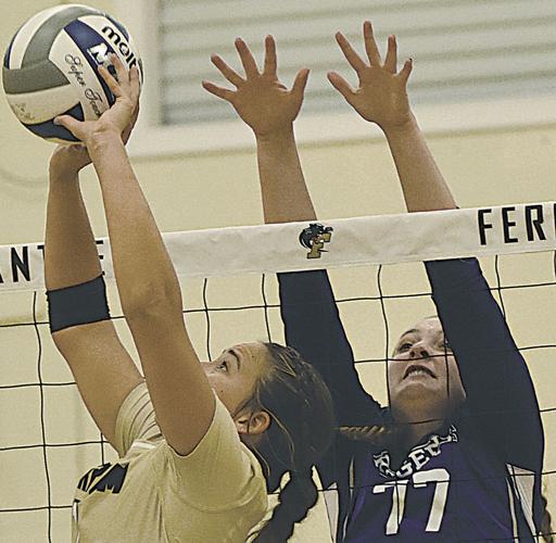 Ferrum ranks 18th in recent VaSID All-Sports survey