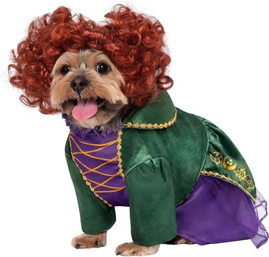 Winifred Sanderson 'Hocus Pocus' Pet Costume