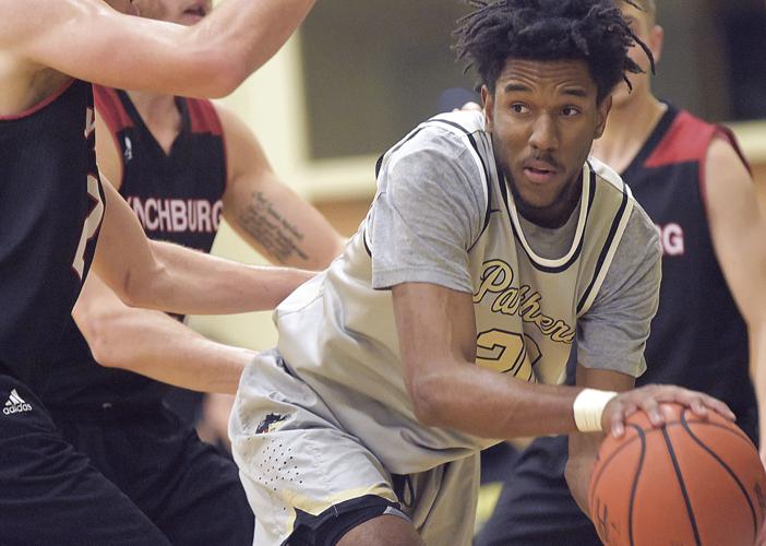 Perimeter prowess propels Panthers