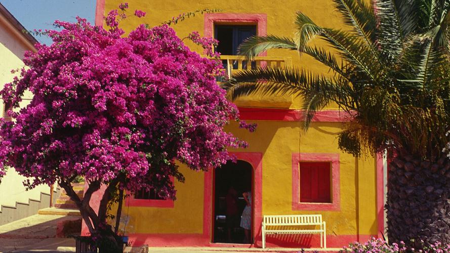 What it's like to live on Italy's Covid-free islands