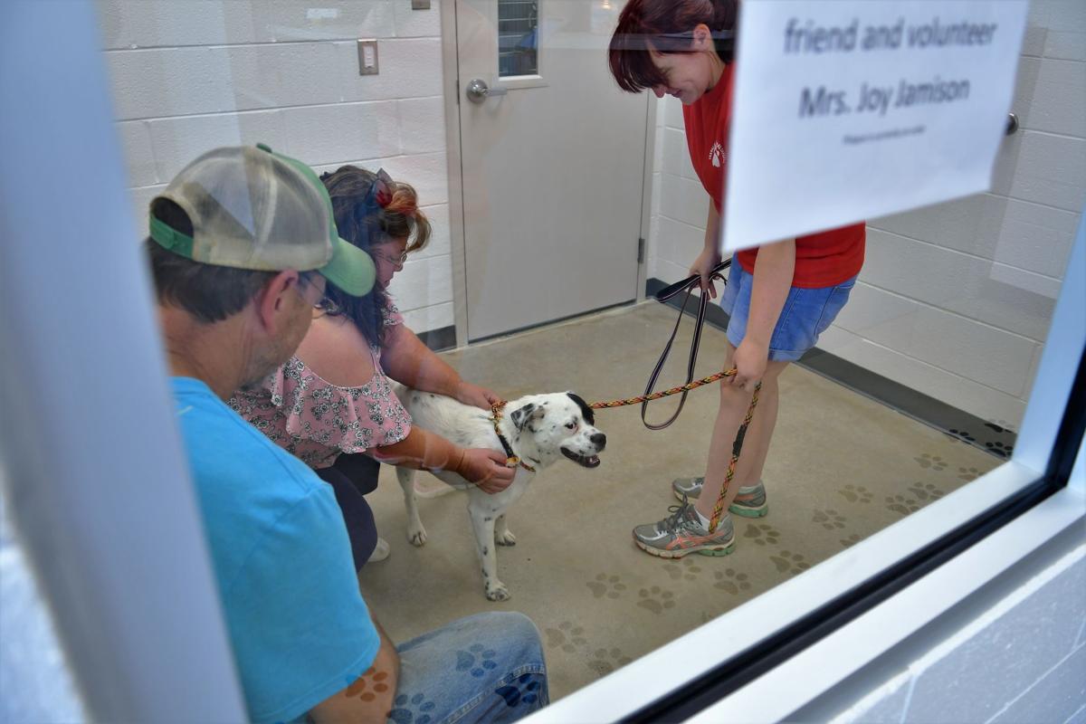 Franklin County opens new animal shelter Gallery