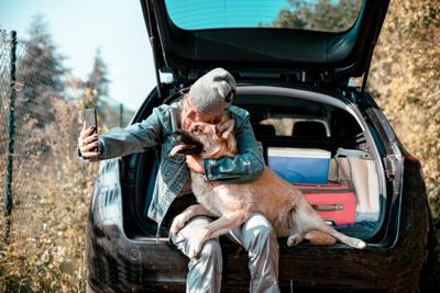 Rediscovering the Joy of the Journey: Why Pet Parents Choose Epic Road Trips vs. Flying with their Pets