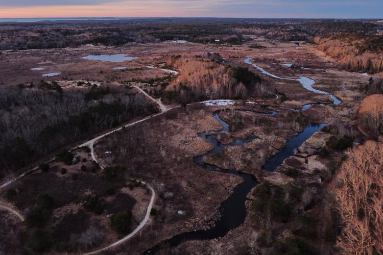 Climate Cranberry Bog Restoration