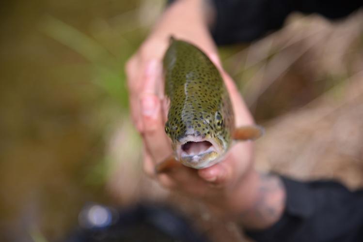 Finding healing through fishing