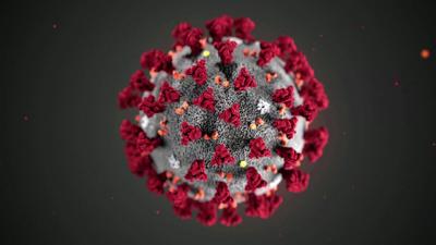 Why we 'may not get to zero' on Covid