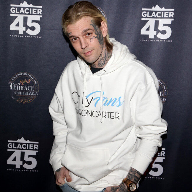 Aaron Carter is in a month-long rehab program to tackle his 'triggers' as he fights to regain custody of his son