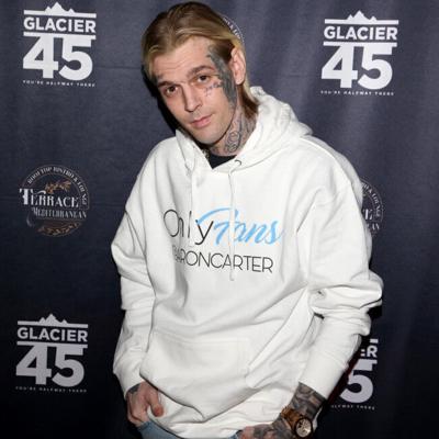 Aaron Carter is in a month-long rehab program to tackle his 'triggers' as he fights to regain custody of his son