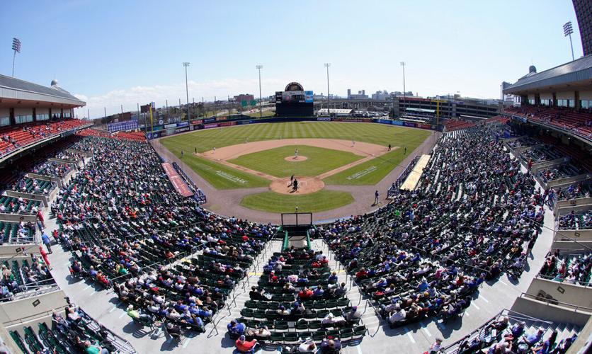 Buffalo Bisons baseball (copy)