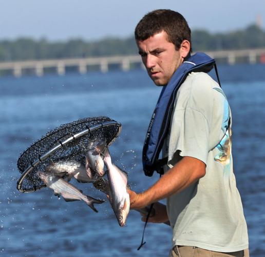 20150816_MET_FISH_KM8