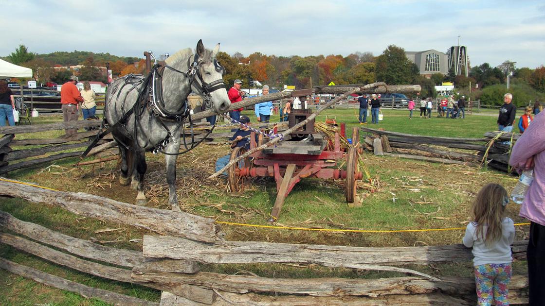 Folklife Festival Features Food Music Crafts And Animals Latest Headlines Thefranklinnewspost Com Ferrum Folklife Festival 2022