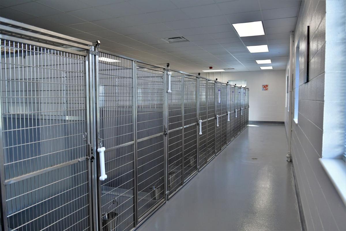 Franklin County opens new animal shelter Gallery