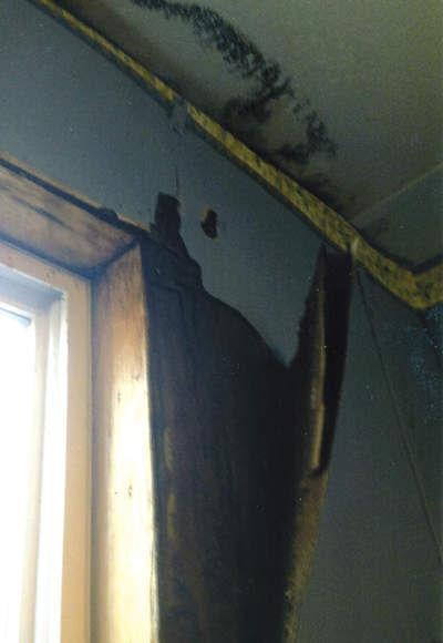 Black Mold Infestation Costs Sml Couple Their Home Belongings