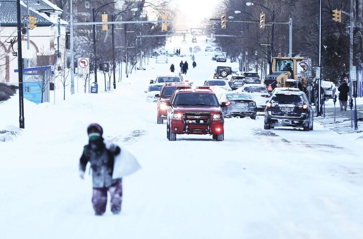 Buffalo Blizzard (copy)