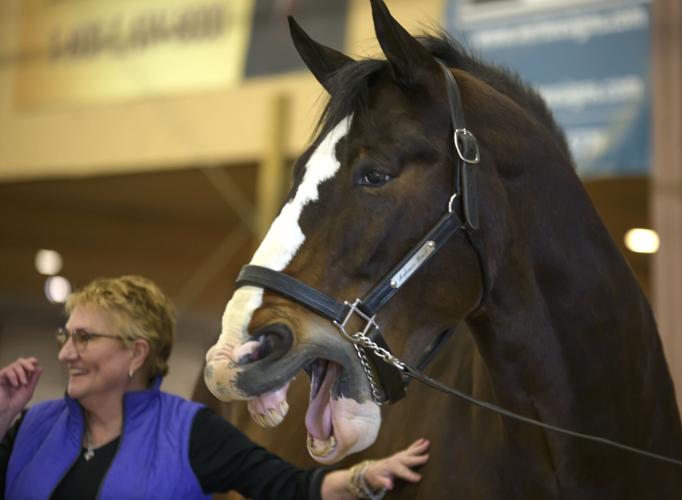 Ivan mugs for the camera..jpg