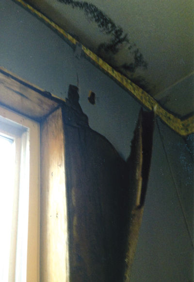 Black mold infestation costs SML couple their home, belongings