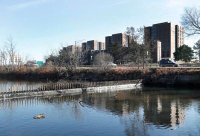 Advocates push for Scajaquada Creek's resuscitation as part of expressway redesign