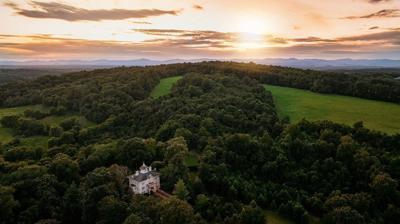Virginia solar farm may have met its match: The social media influencers next door