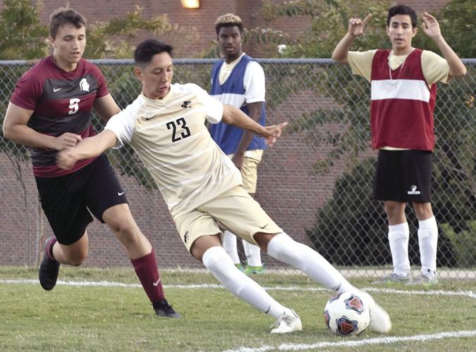 Panthers On The Pitch