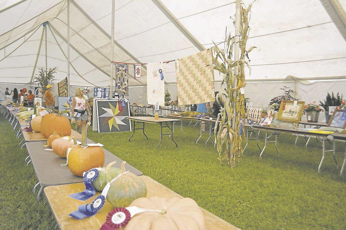 Competitive exhibits allow farmers to reap awards Latest Headlines