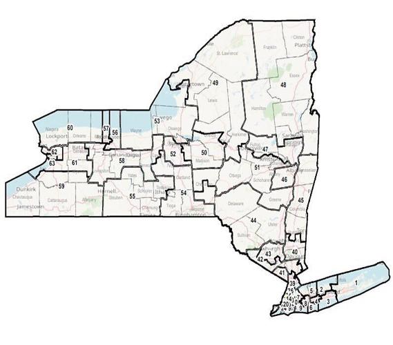 Petitioners proposed remedial Senate map New