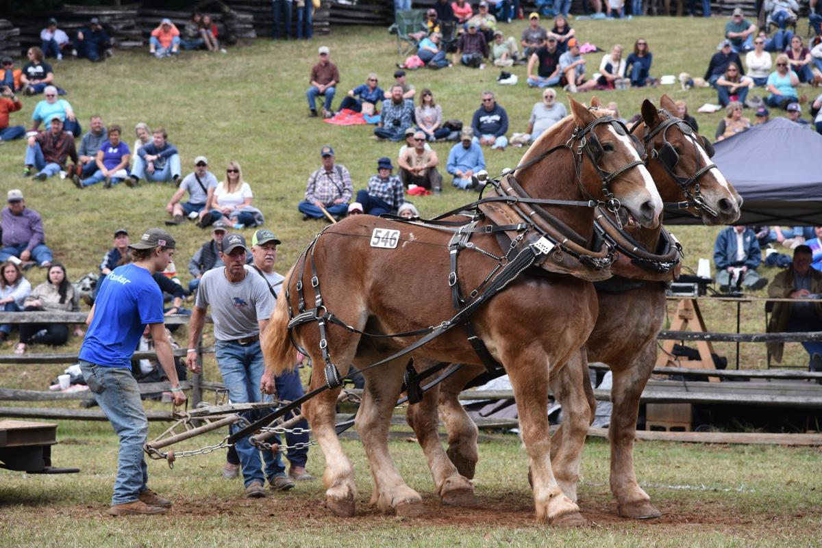 Blue Ridge Folklife 2019
