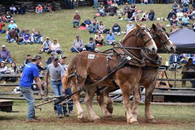 Blue Ridge Folklife 2019