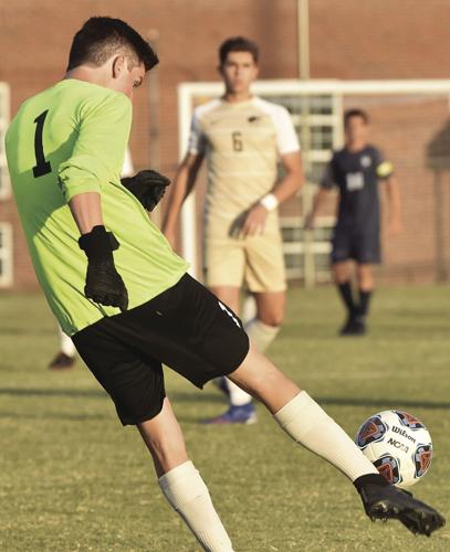 Panthers On The Pitch