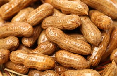 Recipe of the Day: Boiled Peanuts