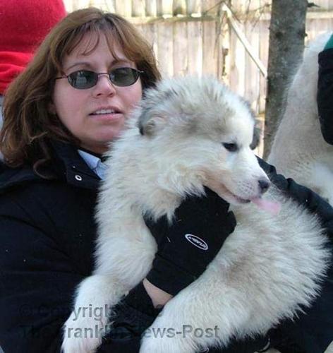 The relationship between animal control and non-profit groups