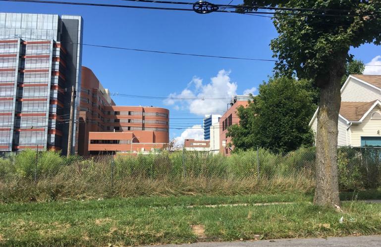 The Lawrence site1