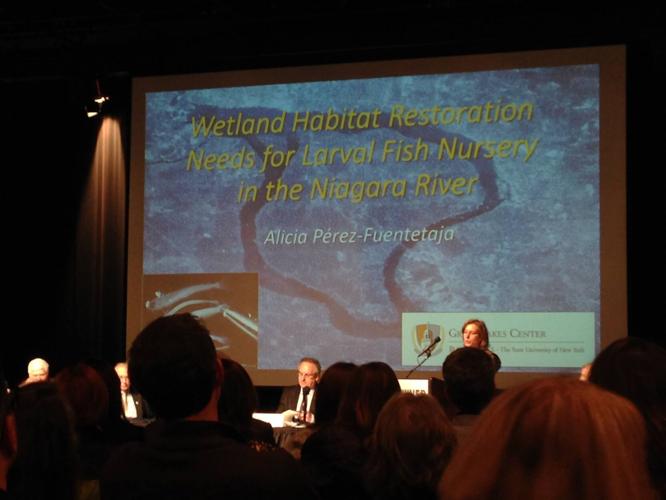 17620560_10154399437096304_5290747514312538541_o