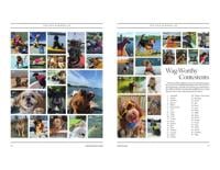 Page M20