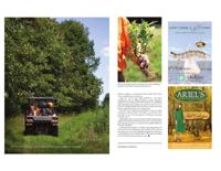Page M28