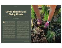 Page M13