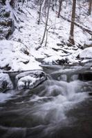 Smoky Mountain Winter Stream 3