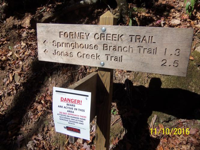Smokies Hike of the Month: Forney Creek Loop | Outdoors | theguidewnc.com