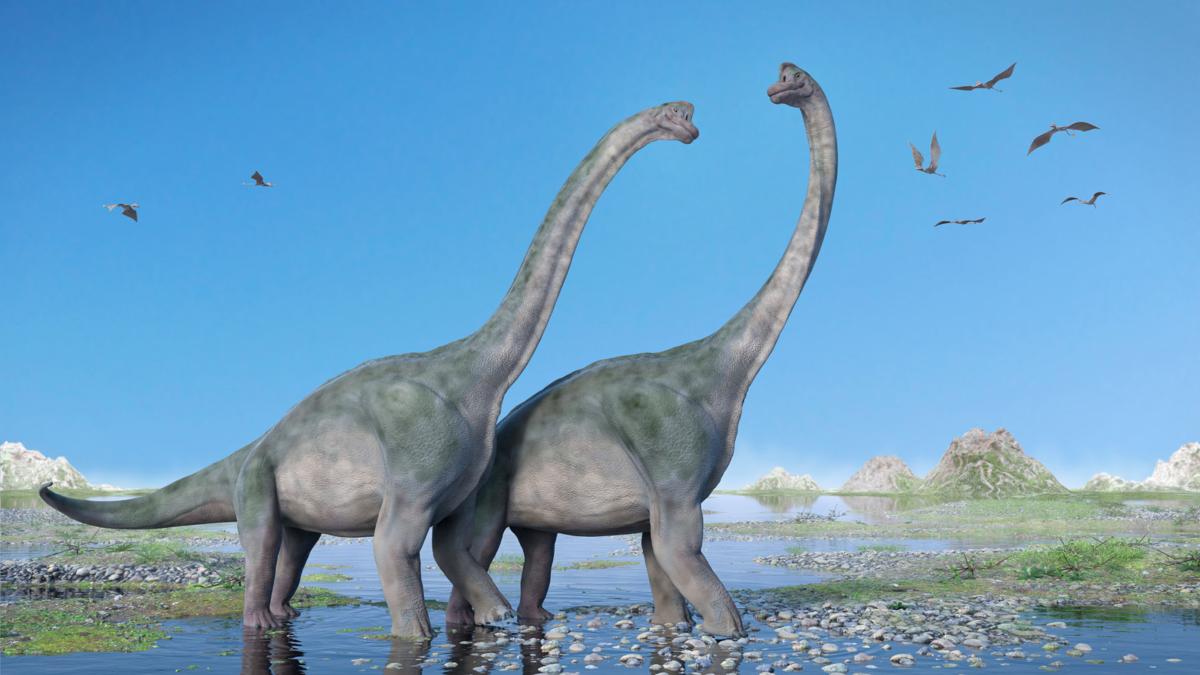 different kinds of long neck dinosaurs