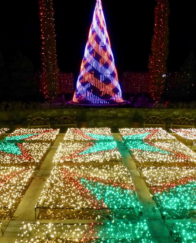 Winter Lights At The Arboretum Family Theguidewnc Com