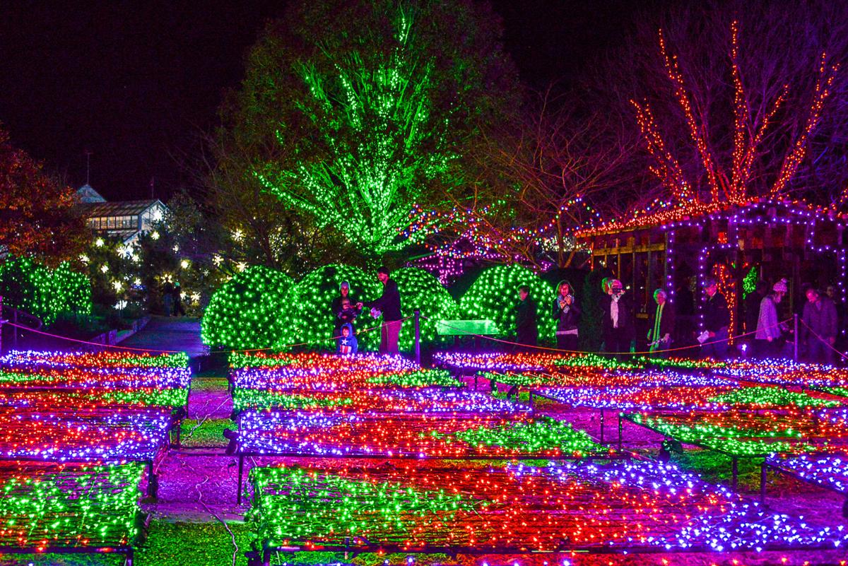 See The Arboretum Gardens In A Whole New Light Events