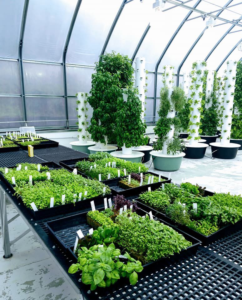 List 102+ Pictures Daniel's Farm & Greenhouses Photos Latest