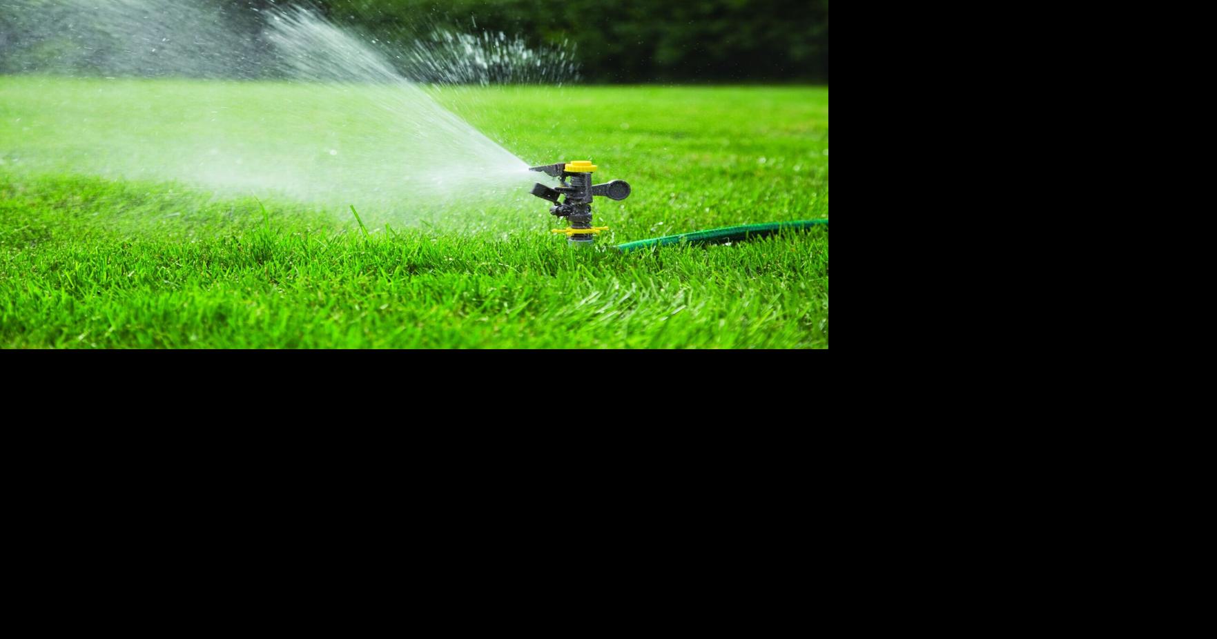 Outdoor Water Conservation Tips – Your Questions Answered | News ...