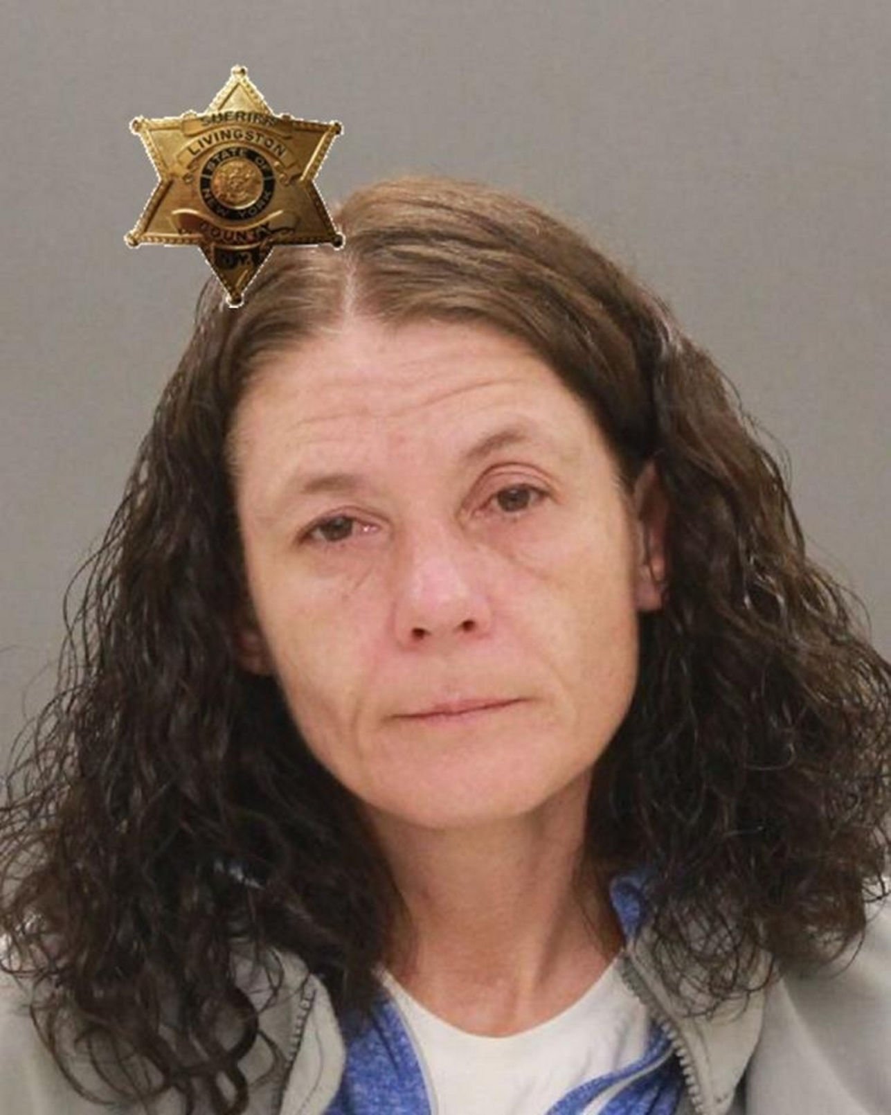 Mount Morris Woman Accused Of Burglarizing Home 4 Times In 8 Days ...