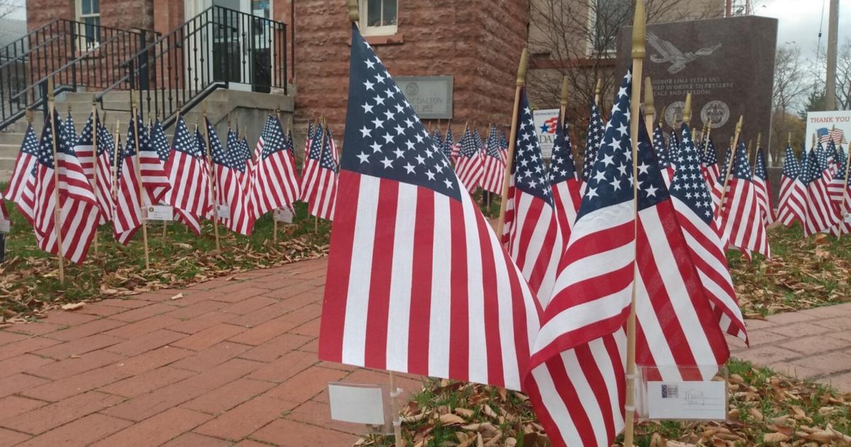 Lima DAR flag display honors local veterans | Local News | thelcn.com