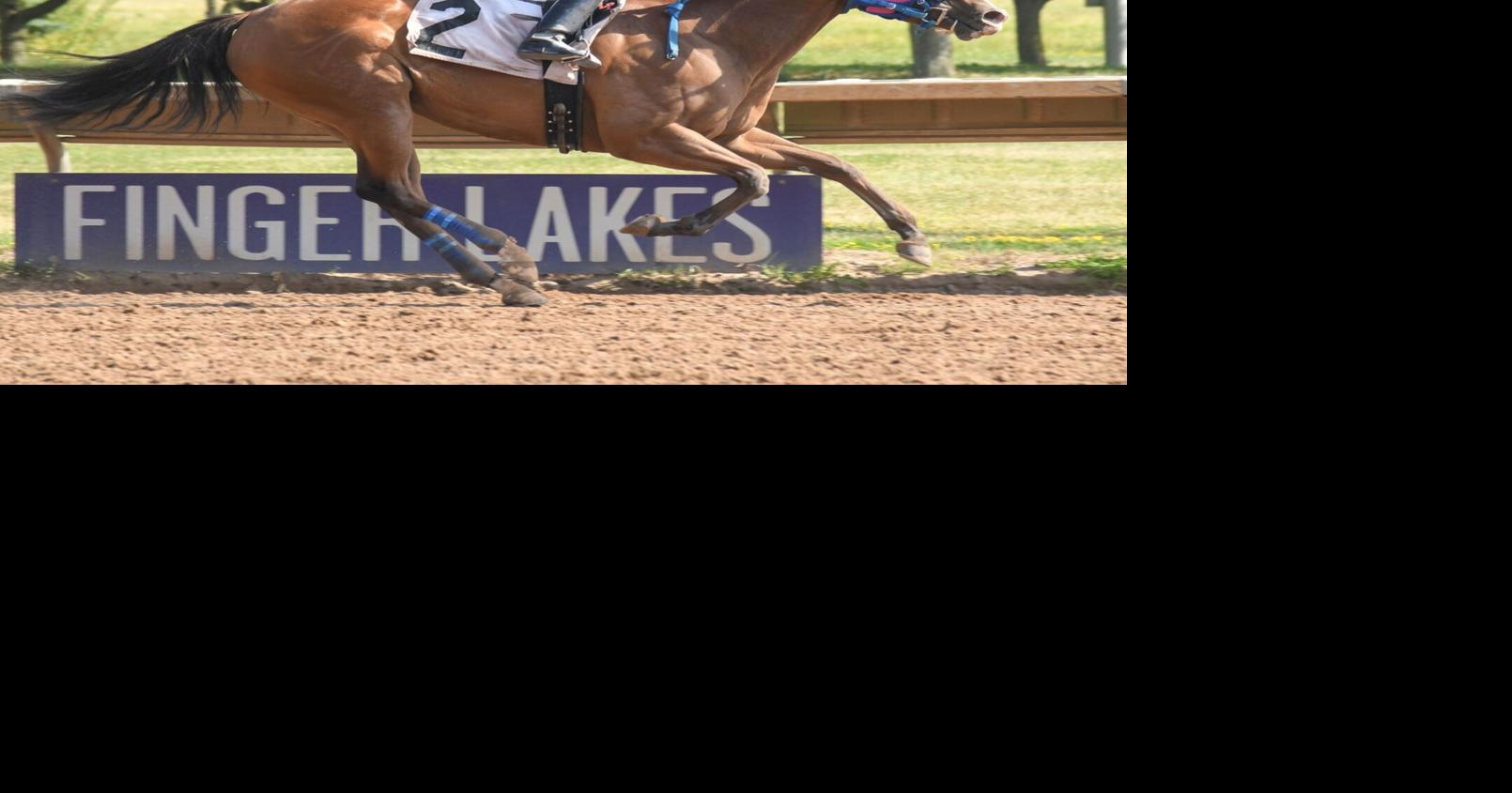 FINGER LAKES Top local fillies, mares to compete in Arctice Queen