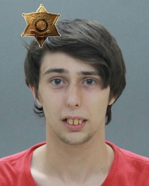 Lakeville man accused of stealing from Geneseo apartment | Police