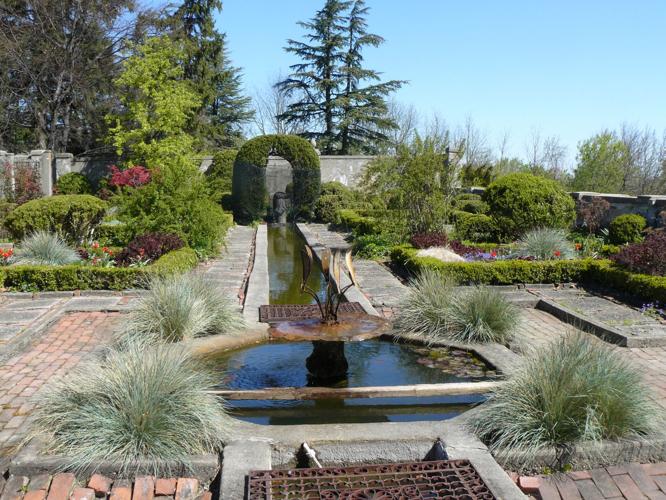 Tree Peony Festival to return to Linwood Gardens | Lifestyles ...